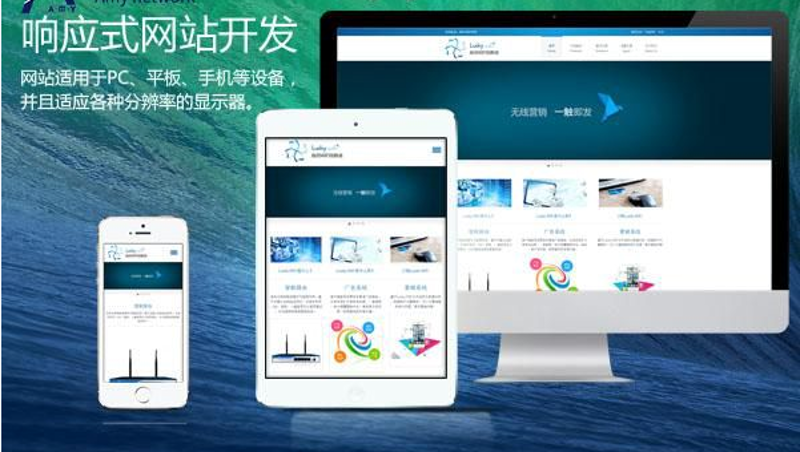 定制化进销存系统:企业高效管理的得力助手